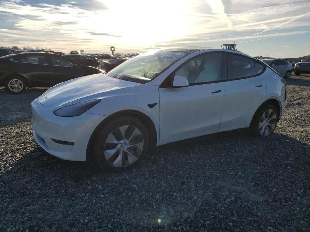 2020 tesla model y