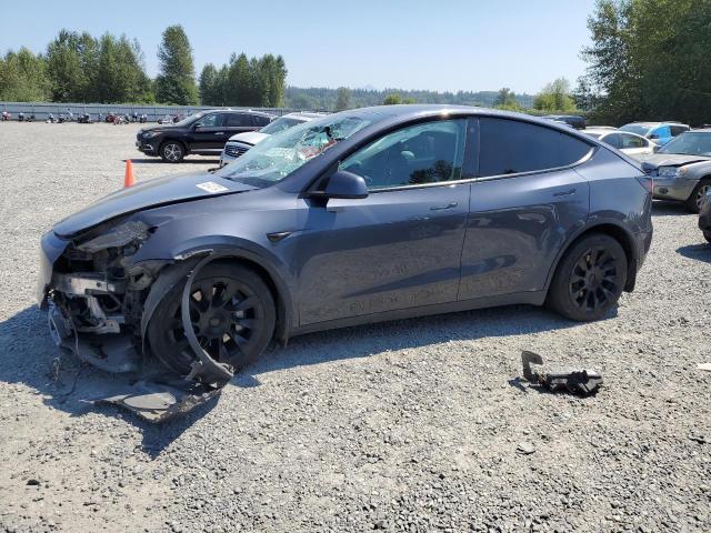 2020 tesla model y