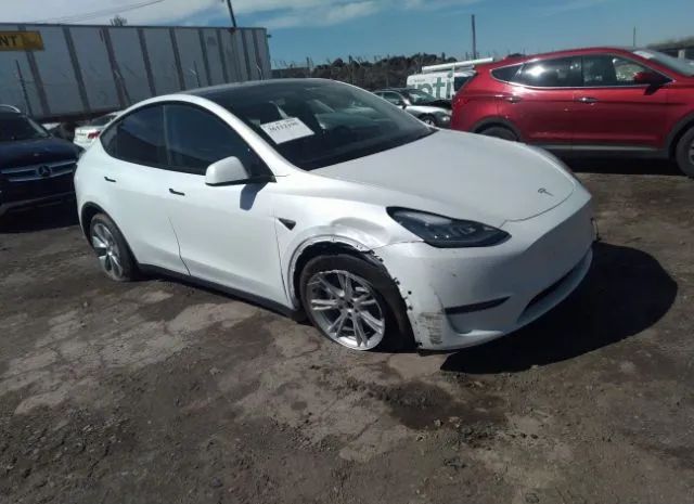 2021 tesla model y