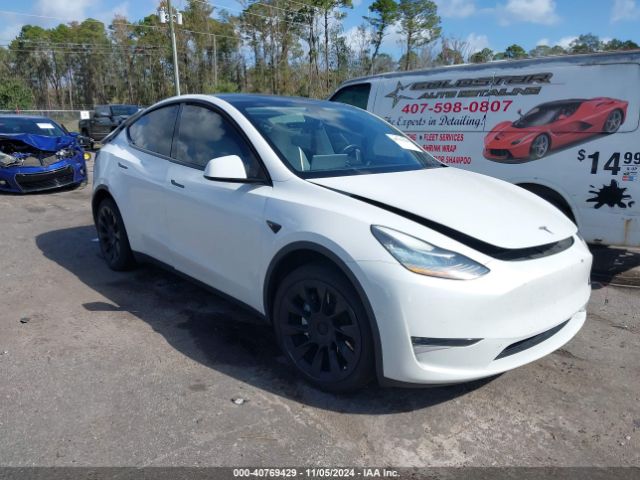 2021 TESLA Model Y