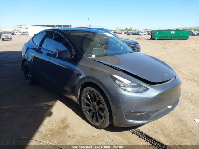 2021 TESLA Model Y