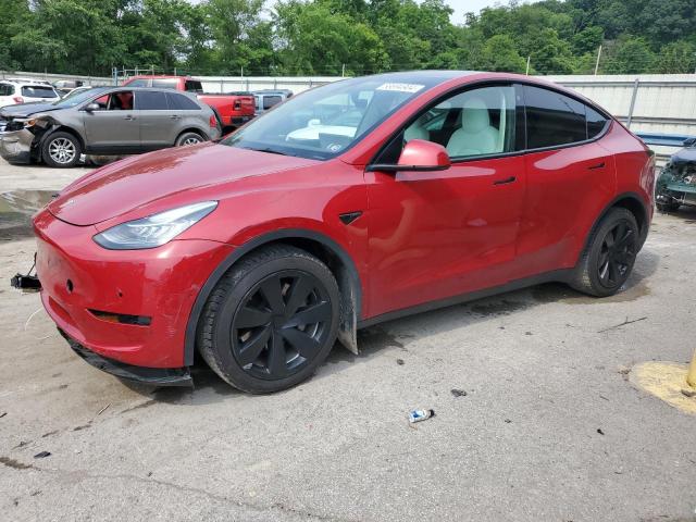 2021 tesla model y