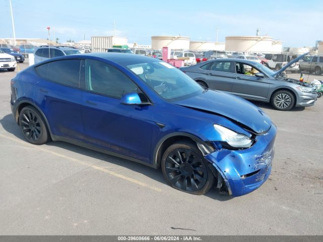 2020 TESLA Model Y