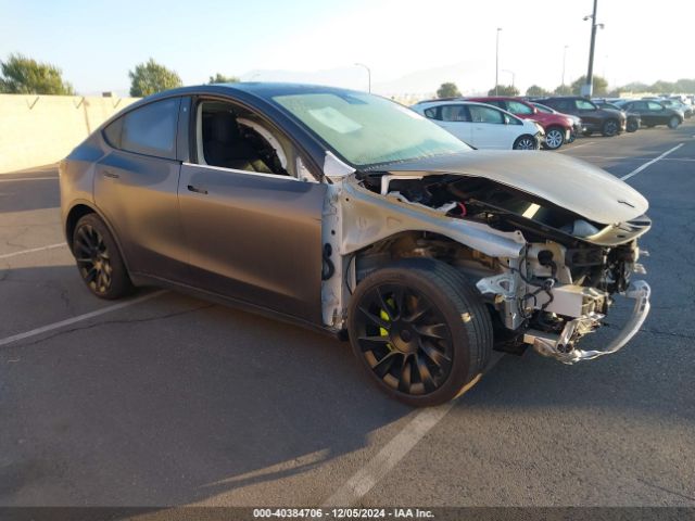 2020 TESLA Model Y