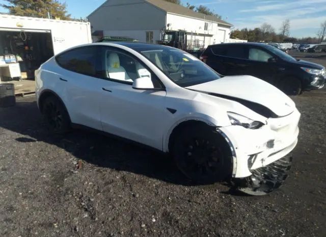 2020 tesla model y
