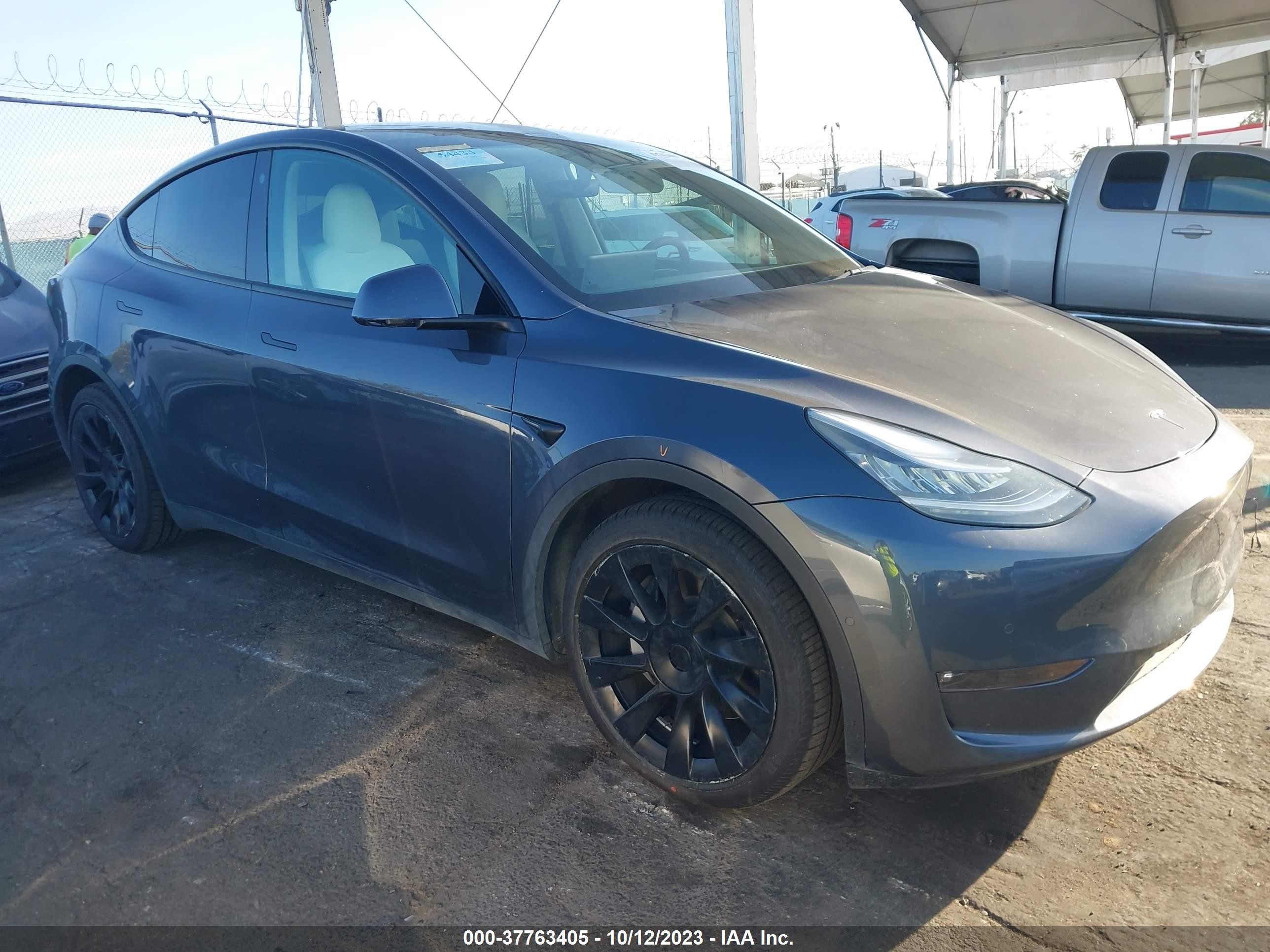 2021 tesla model y