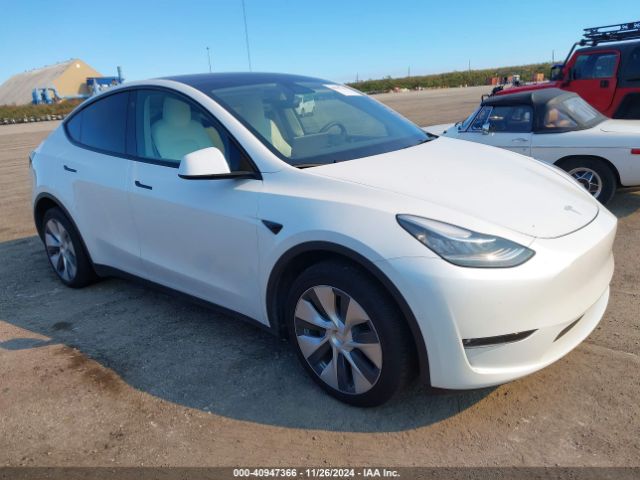2021 TESLA Model Y