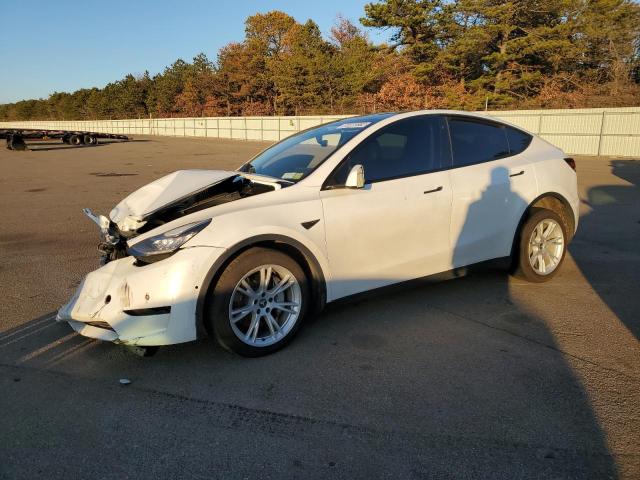 2020 tesla model y