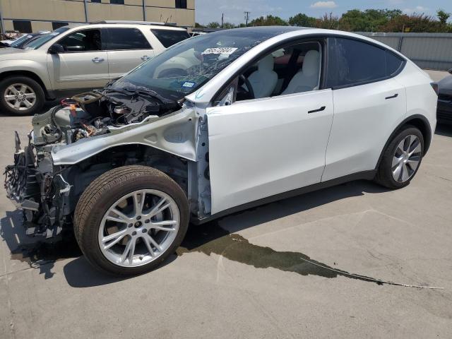 2020 tesla model y
