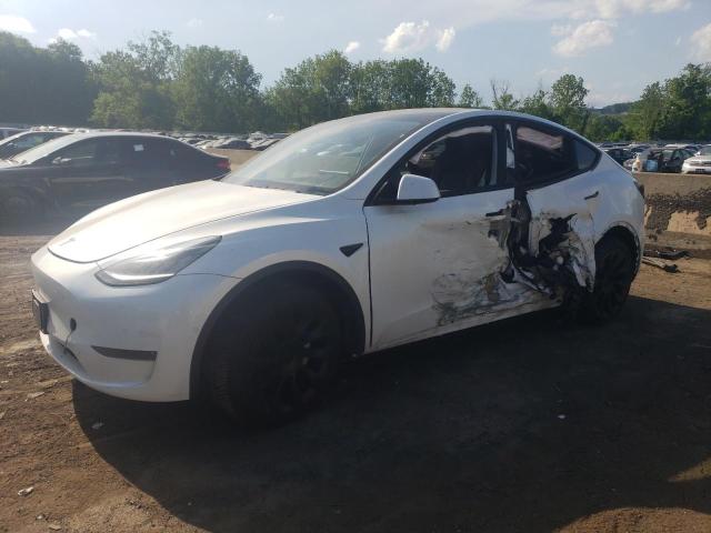 2020 tesla model y