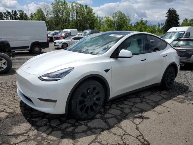 2020 tesla model y