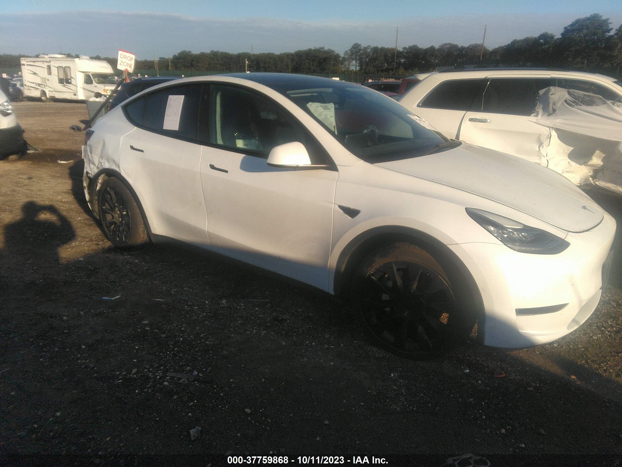 2021 tesla model y