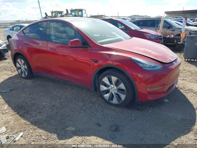 2021 tesla model y