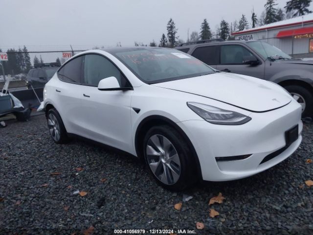 2020 TESLA Model Y