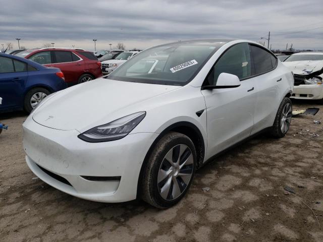 2020 tesla model y