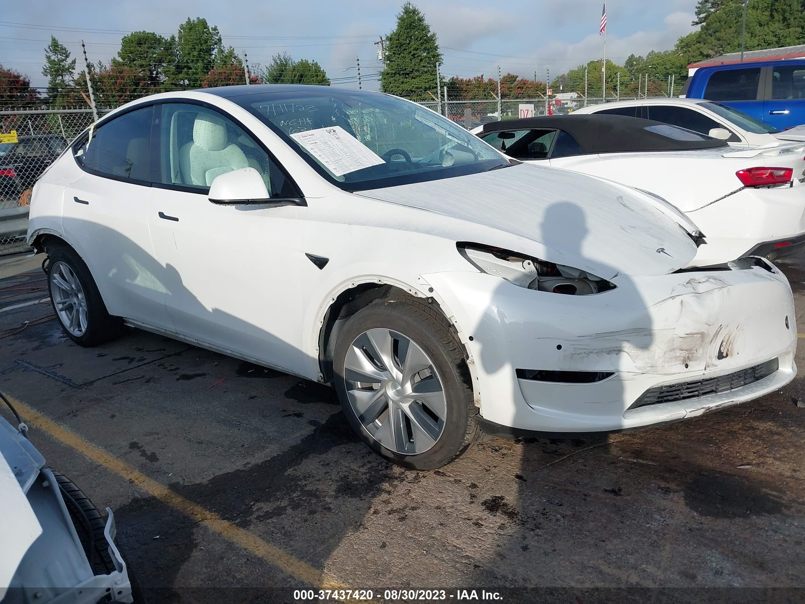 2020 tesla model y