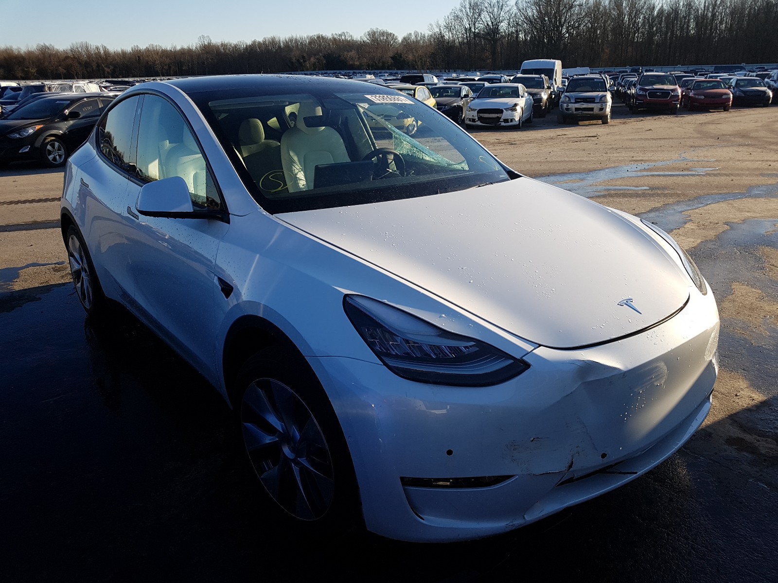 2020 tesla model y