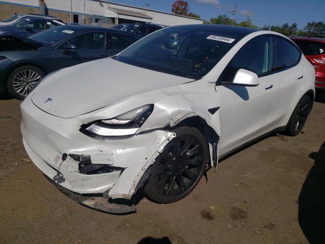 2020 tesla model y