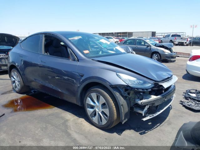 2021 tesla model y
