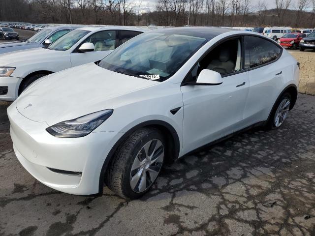 2020 tesla model y
