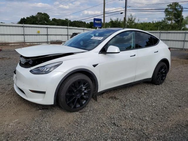 2020 tesla model y