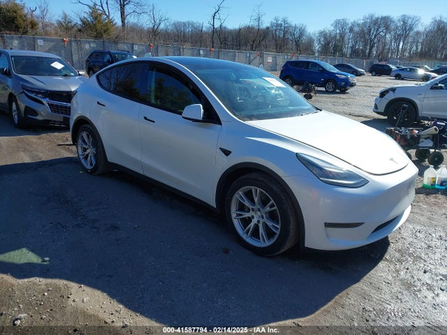 2020 tesla model y