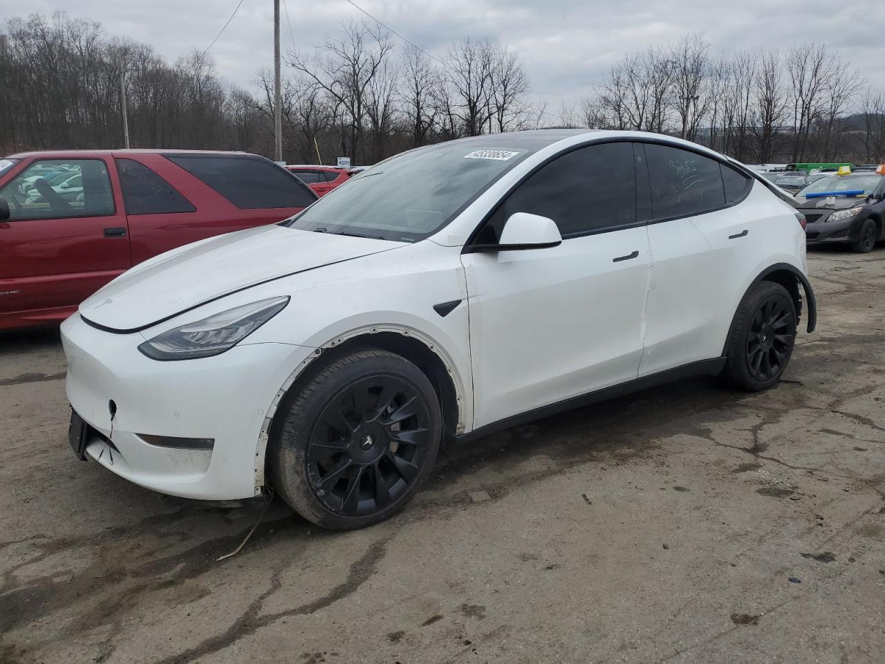 2020 tesla model y