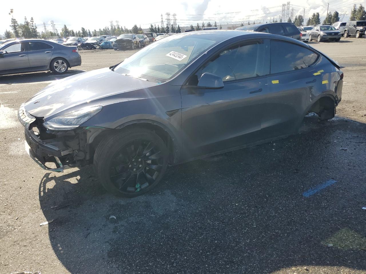 2020 tesla model y