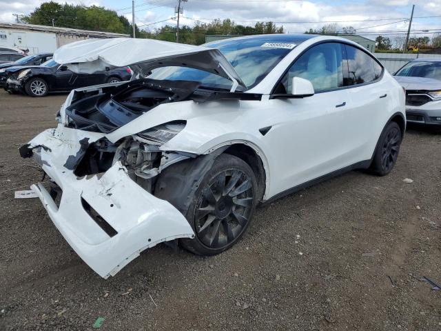 2020 tesla model y