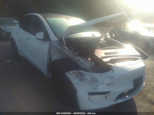 2020 tesla model y