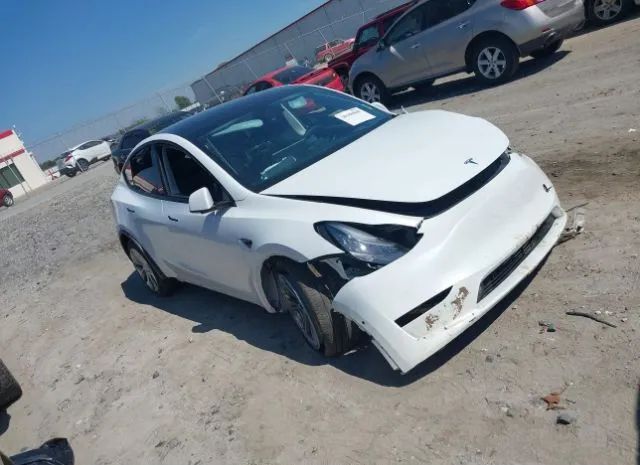 2020 tesla model y