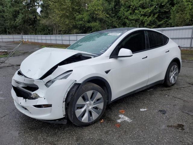 2020 tesla model y
