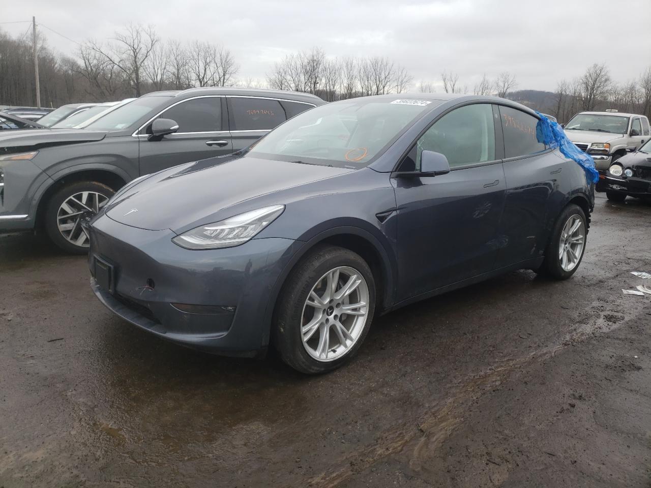 2021 tesla model y