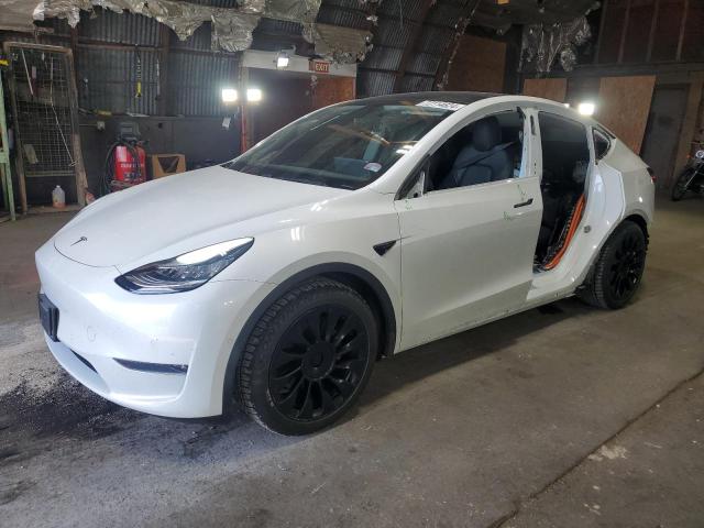 2020 TESLA Model Y