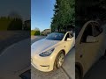 2020 TESLA Model Y