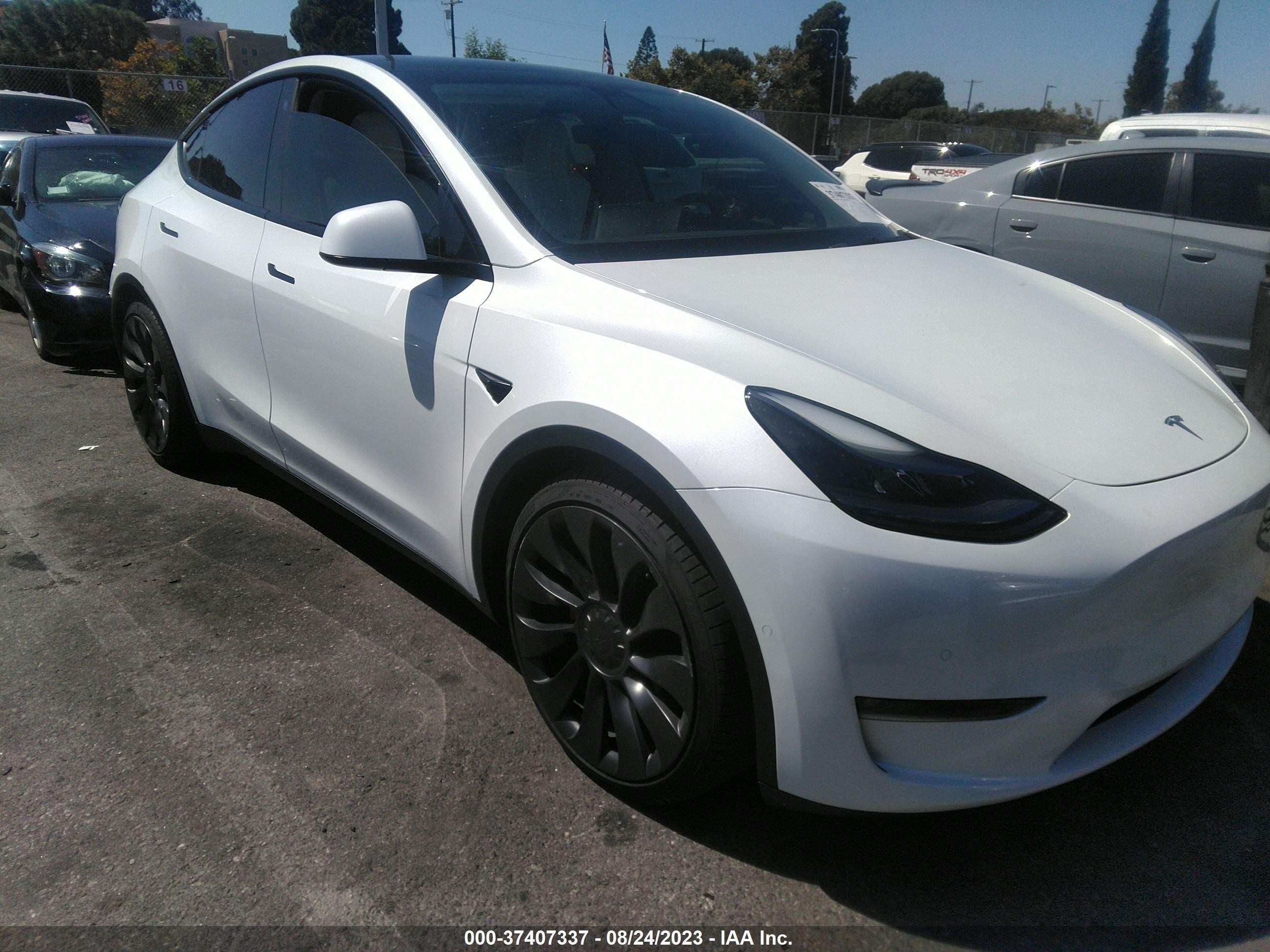 2021 TESLA Model Y