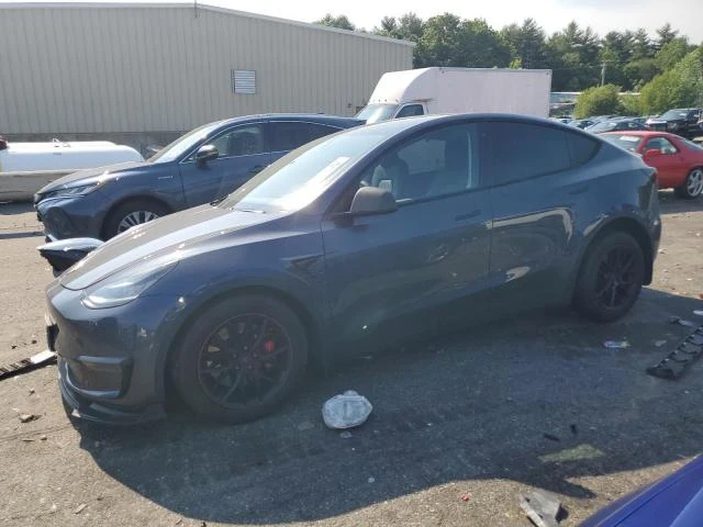 2020 tesla model y