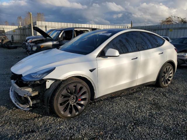 2020 TESLA Model Y