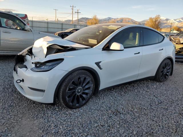 2020 tesla model y