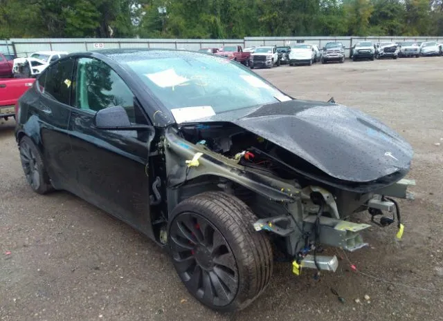 2021 tesla model y