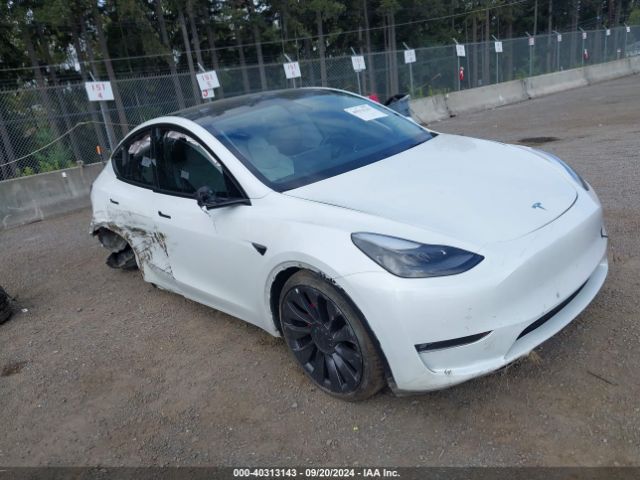2021 TESLA Model Y