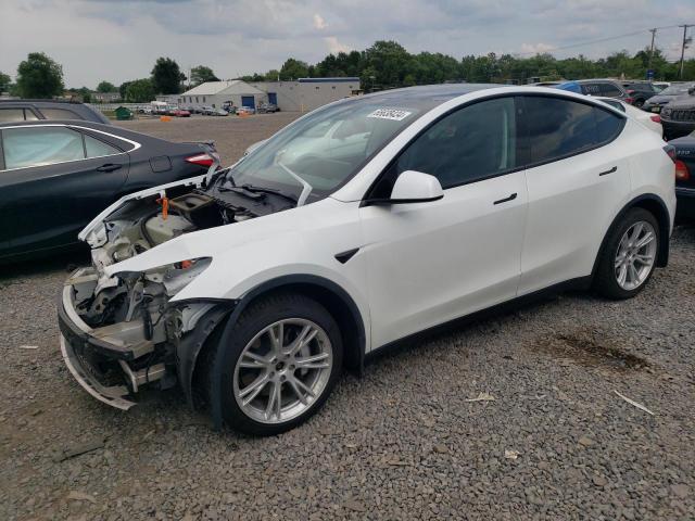 2020 tesla model y