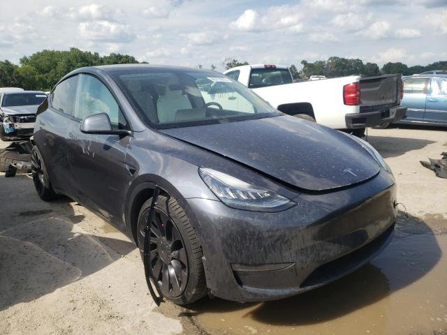 2020 tesla model y