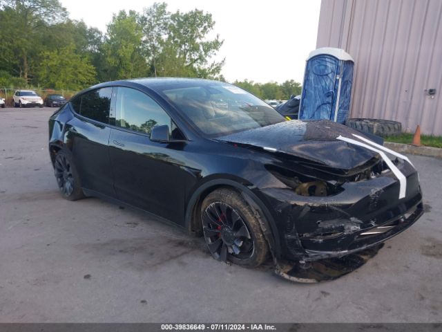 2021 TESLA Model Y