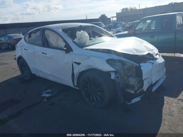 2021 TESLA Model Y