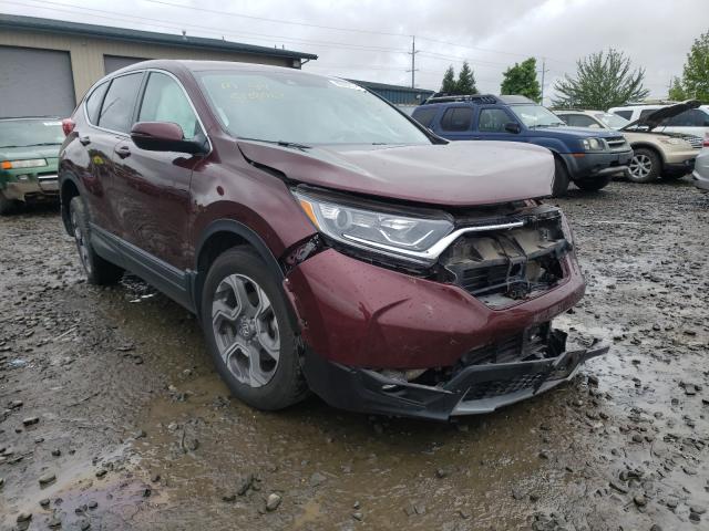 2019 honda cr-v exl
