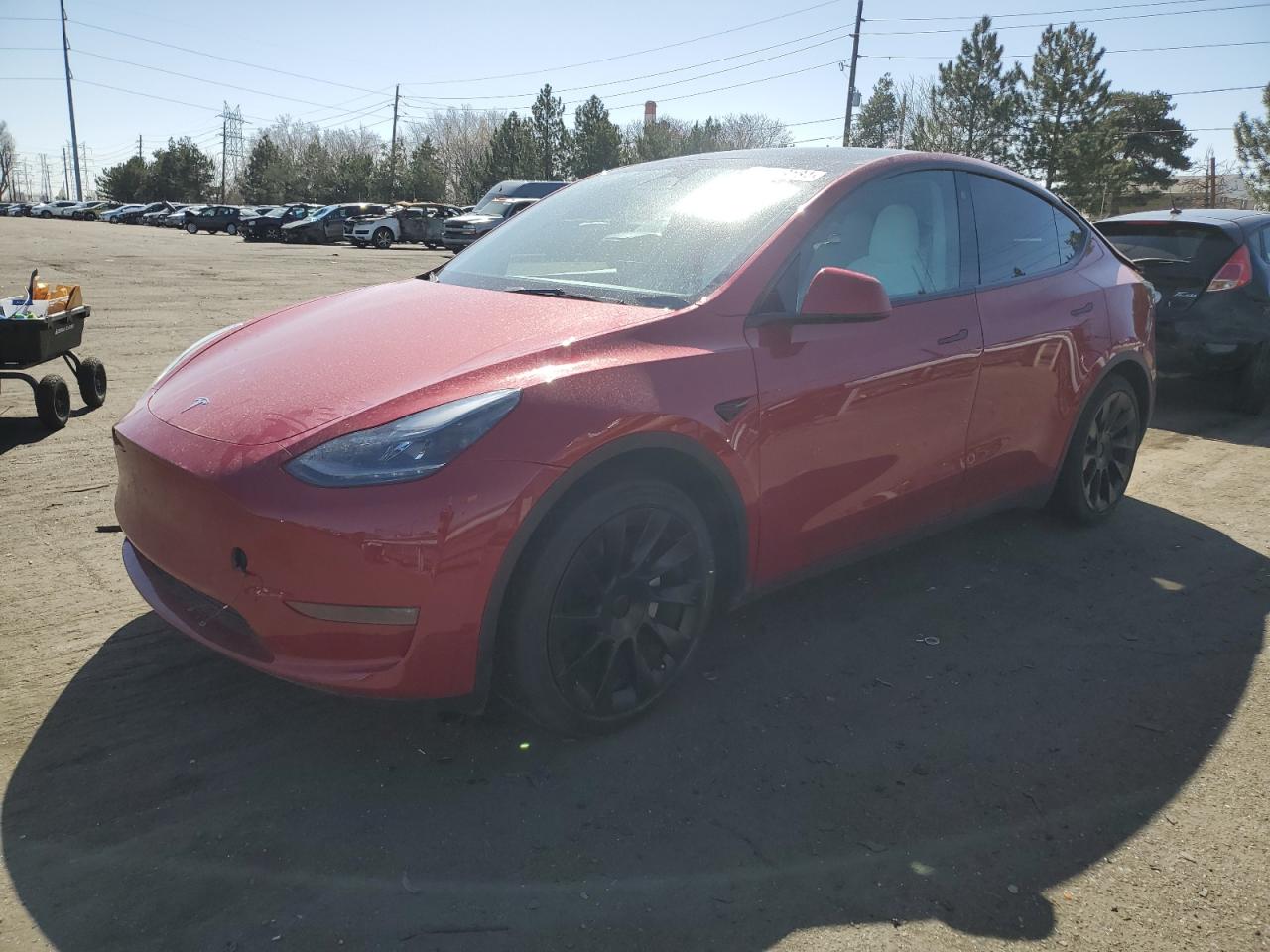 2023 TESLA Model Y