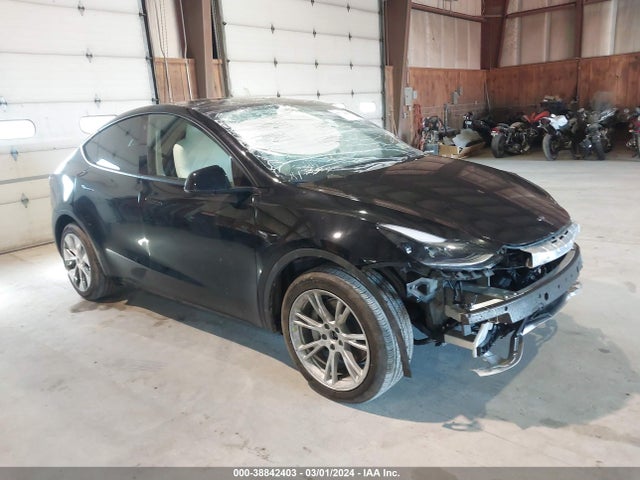 2023 tesla model y