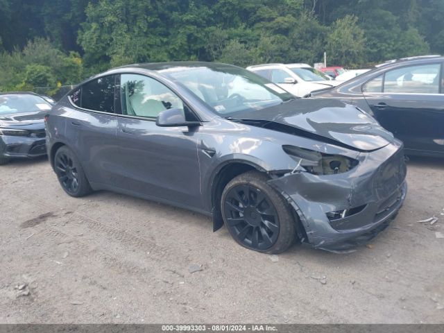 2023 TESLA Model Y