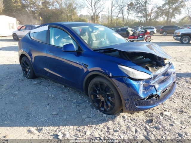 2023 tesla model y